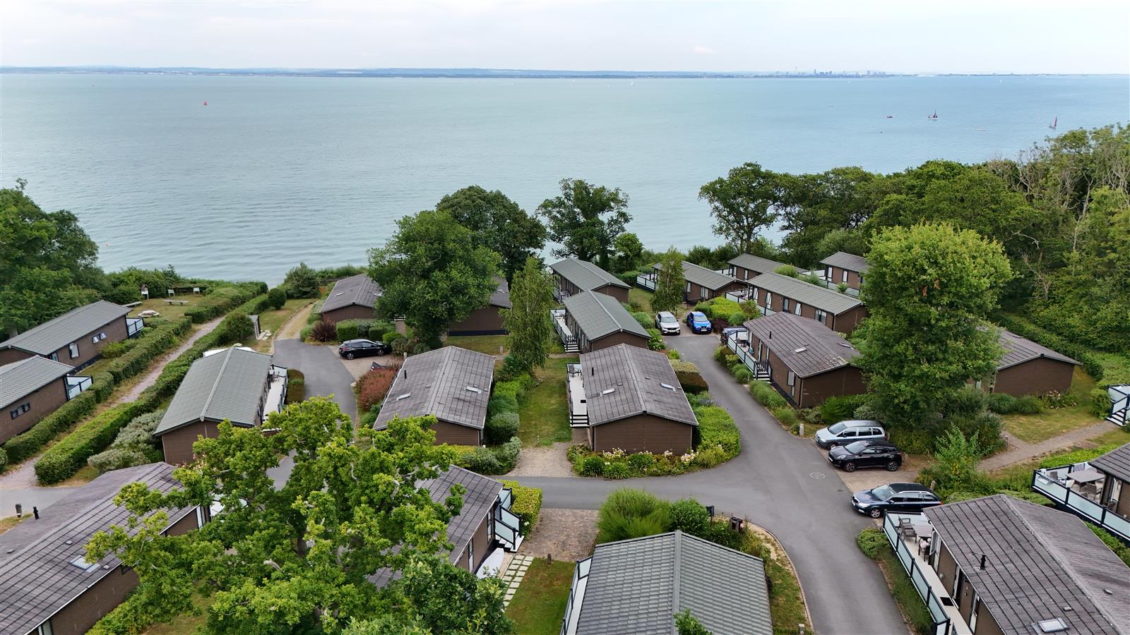 Darwin Escapes